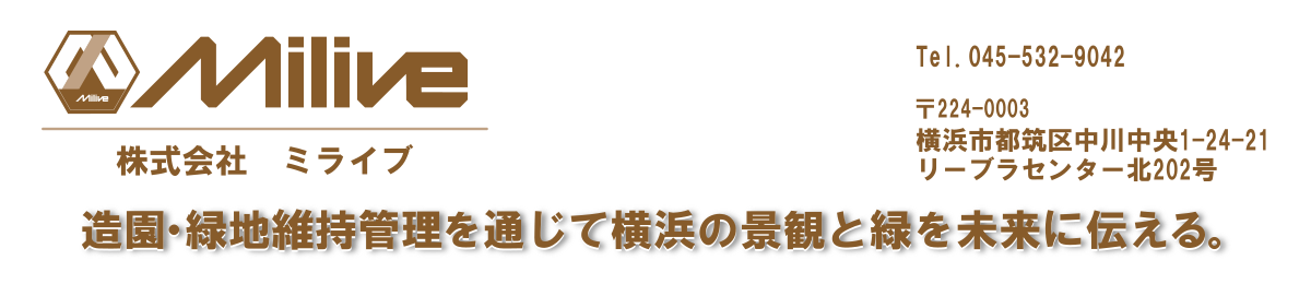 Miliveの公式サイト